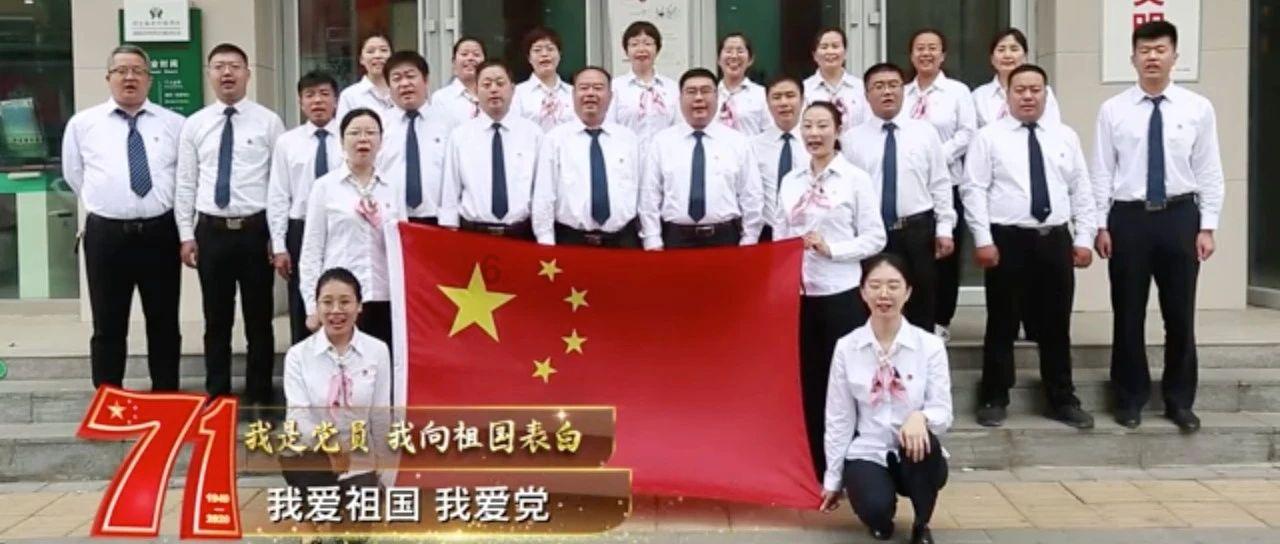 柴犬应该从几个月大时开始训练呢？游戏画面