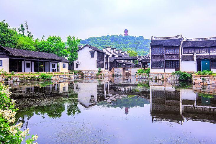 逃出小象森林