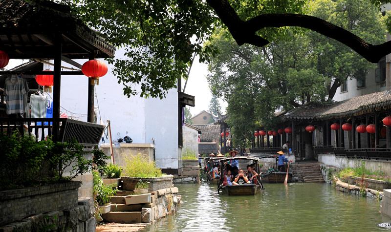 僵尸顶顶乐